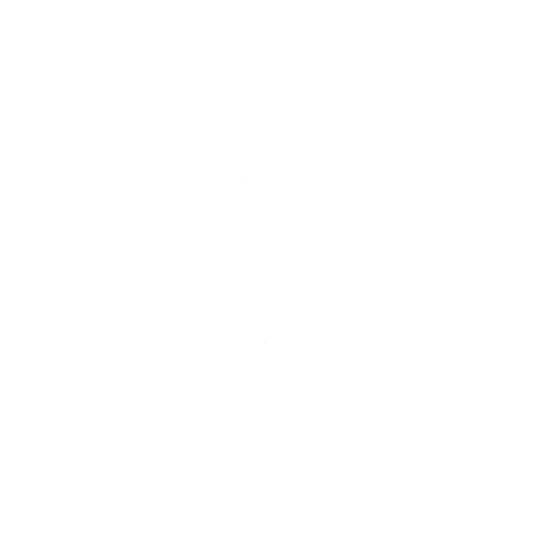 Petvida Iturama